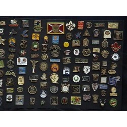 (PX-8) PINES  SOBRE DISEÑO